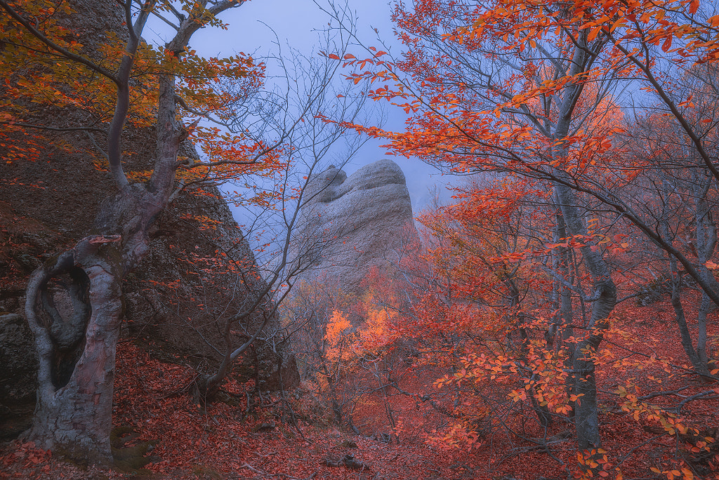 Autumn at Walley of Ghosts by Kirill Volkov on 500px.com