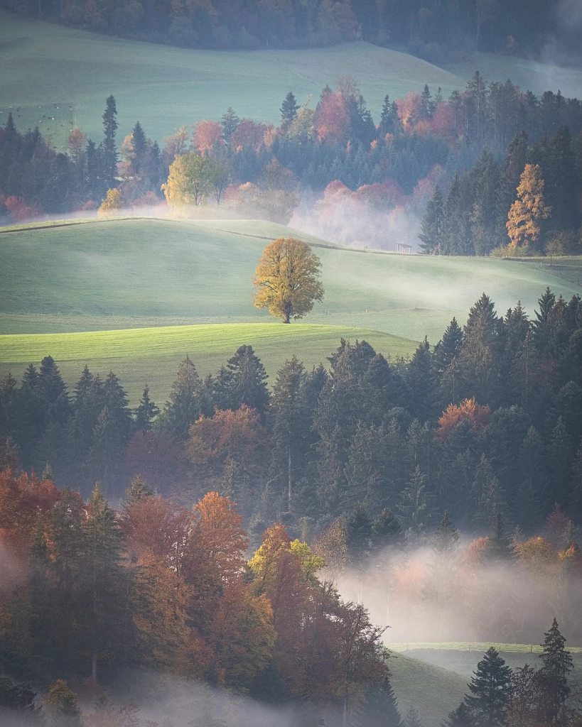 King by Adrian Zurbriggen on 500px.com