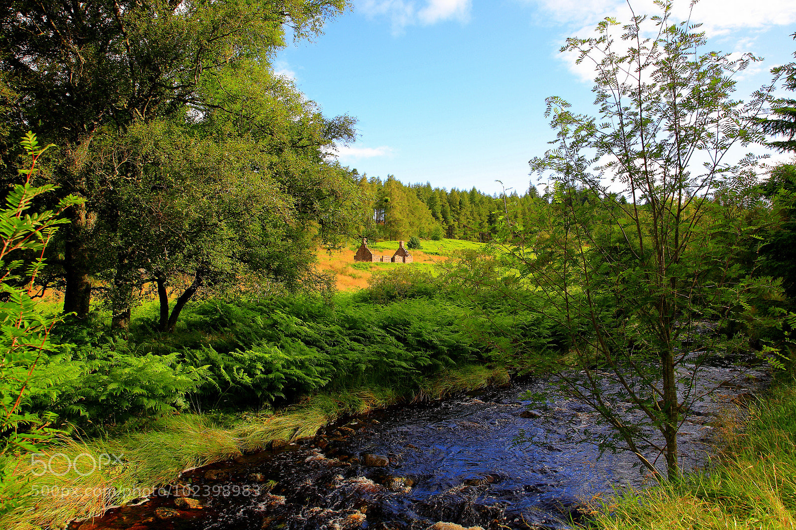 Canon EOS 5D sample photo. Untitled photography