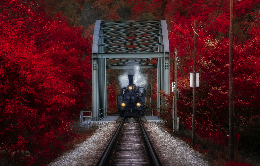 fall train by Rudi Moerkl on 500px.com