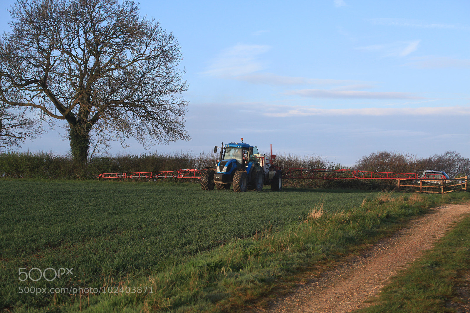 Canon EOS 5D Mark II sample photo. Untitled photography