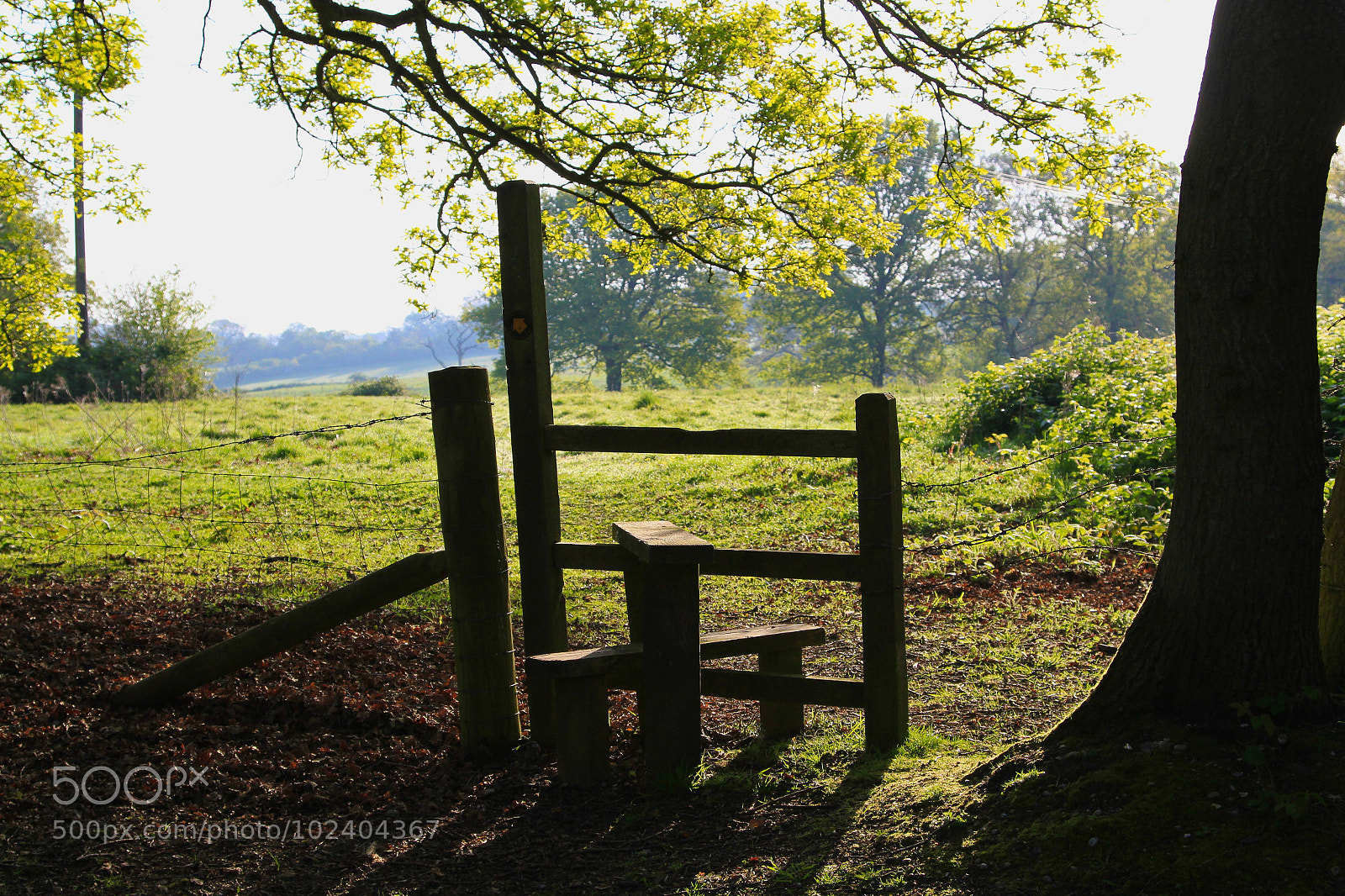 Canon EOS 7D sample photo. Untitled photography