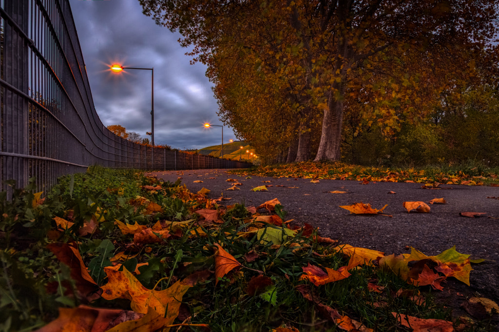 An autumnal evening in November by dieterlauer on 500px.com