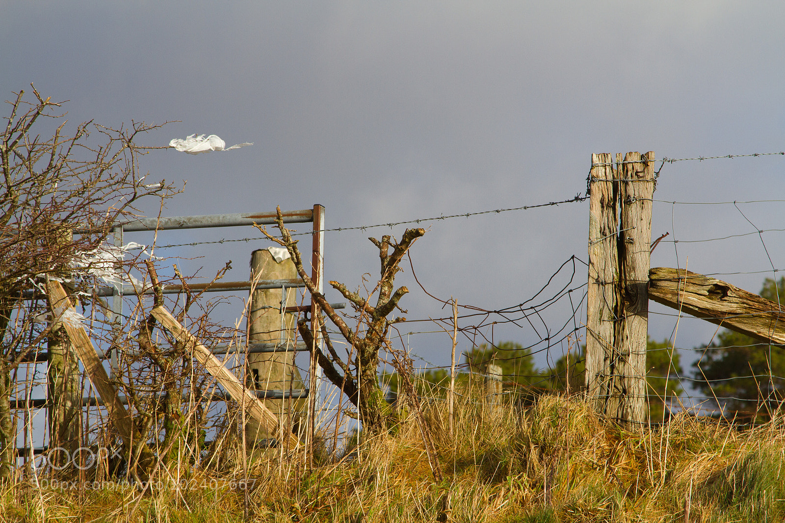 Canon EOS 7D sample photo. Untitled photography