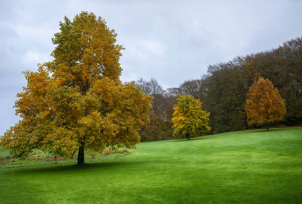 Århus - Mindeparken by Karim Qubadi on 500px.com