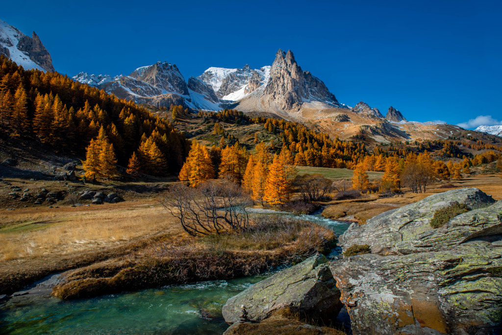 Couleurs d'automne by Alain Grisel on 500px.com