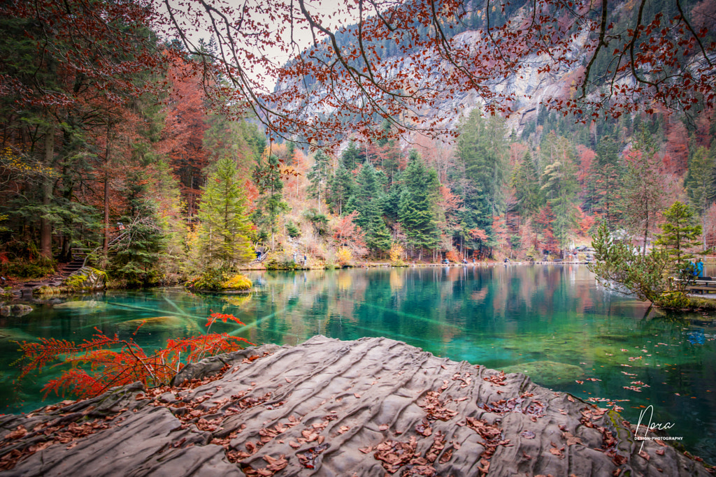 Herbst in Blausee by Leonora EM on 500px.com