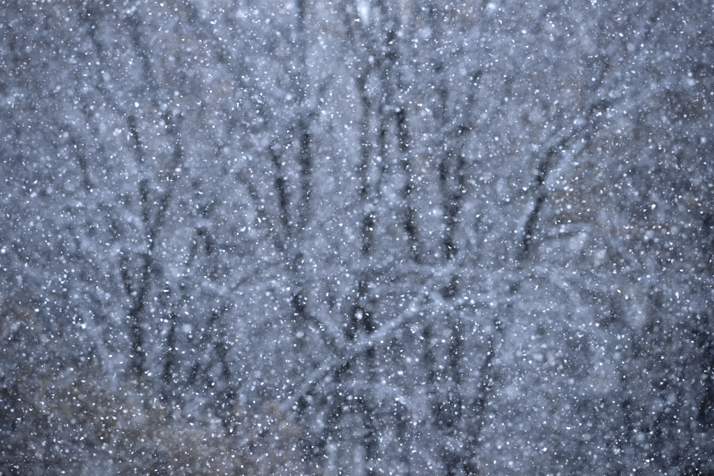 この季節最初に振る雪 by Kousuke Toyose on 500px.com