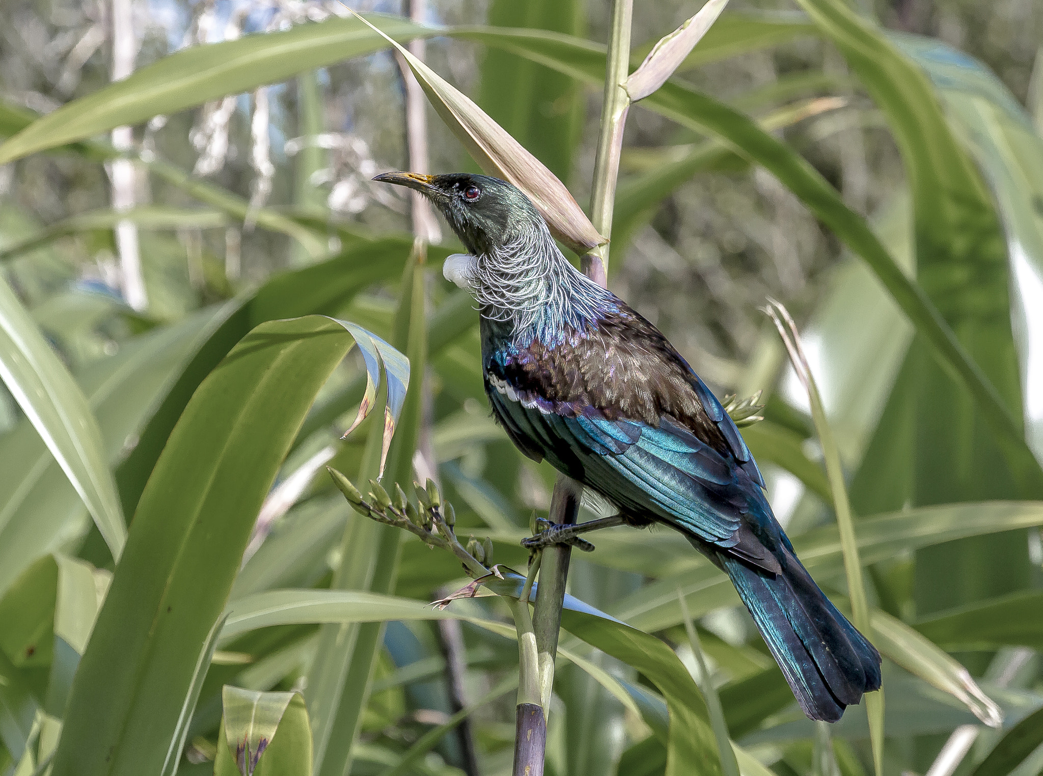 v2?sig=69f7e81644478add5e424374a4e740fdbfed33d1f54de99e1fca8fa213da5595