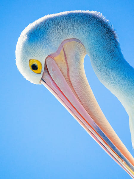 Boodalang by Paul Amyes on 500px.com