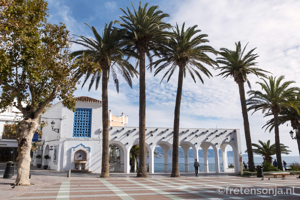 Untitled by www.fretensonja.nl on 500px.com