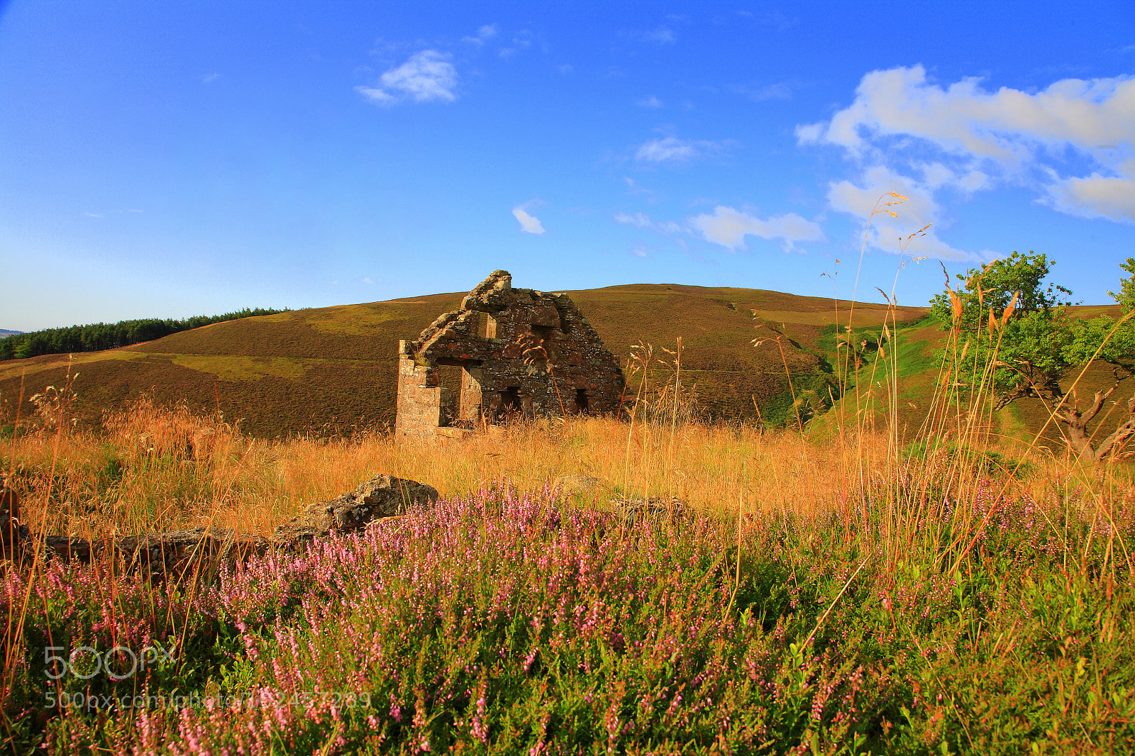 Canon EOS 5D sample photo. Untitled photography