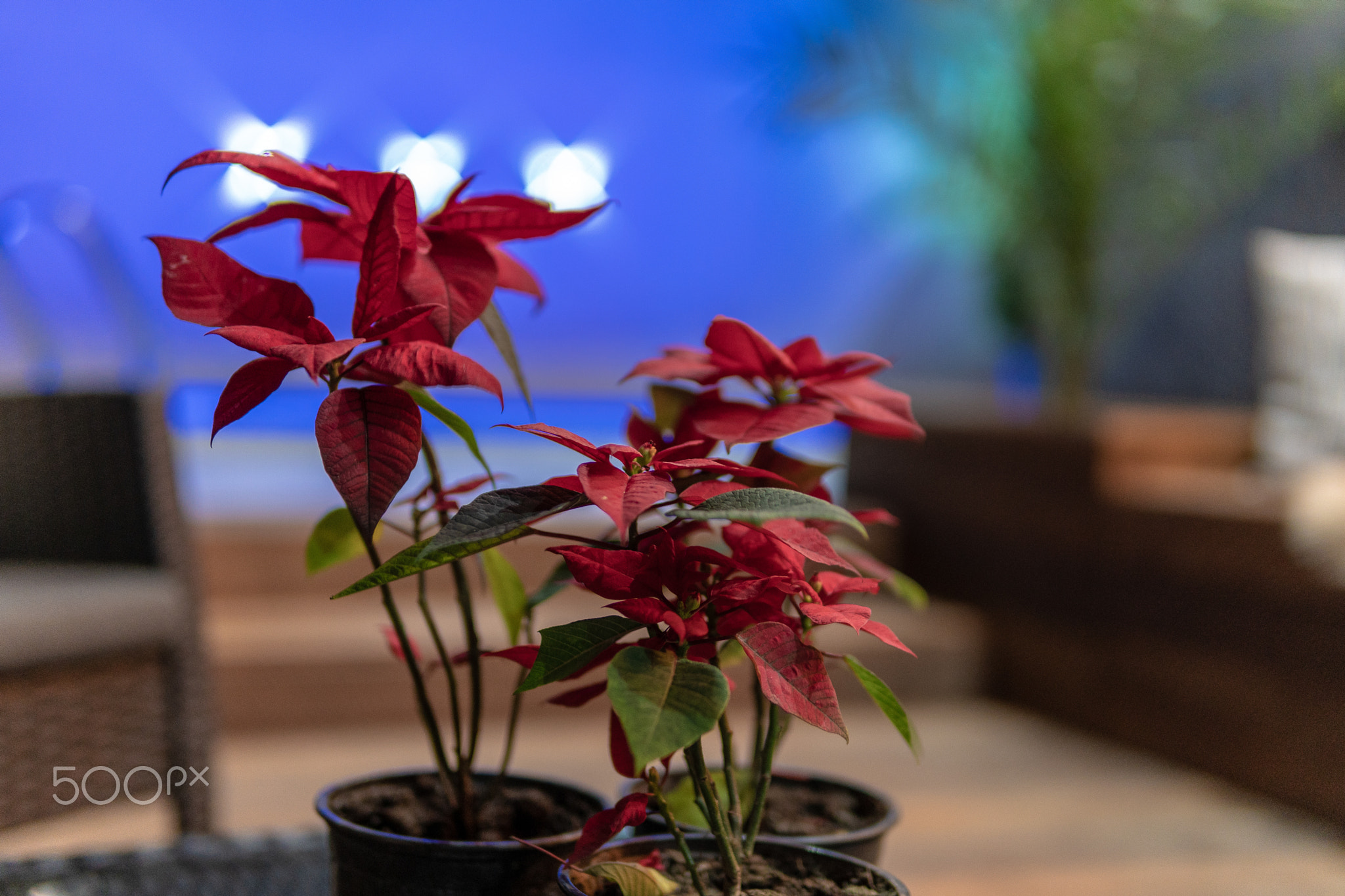 The interiors of a modern art and loft apartment