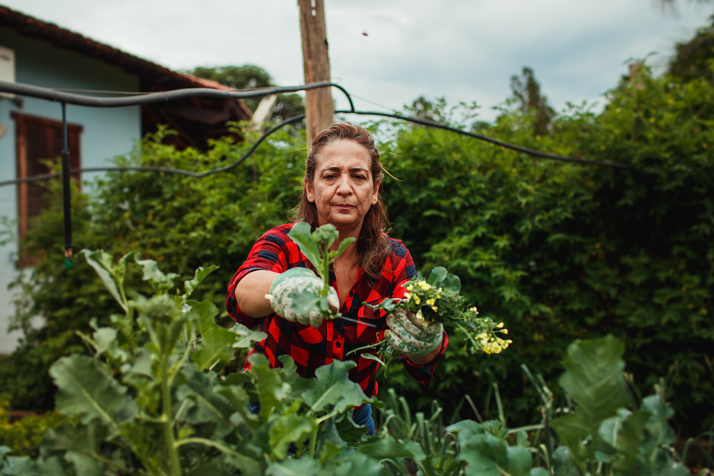 woman harvesting vegetable in her vegetable garden by Helena Lopes on 500px.com