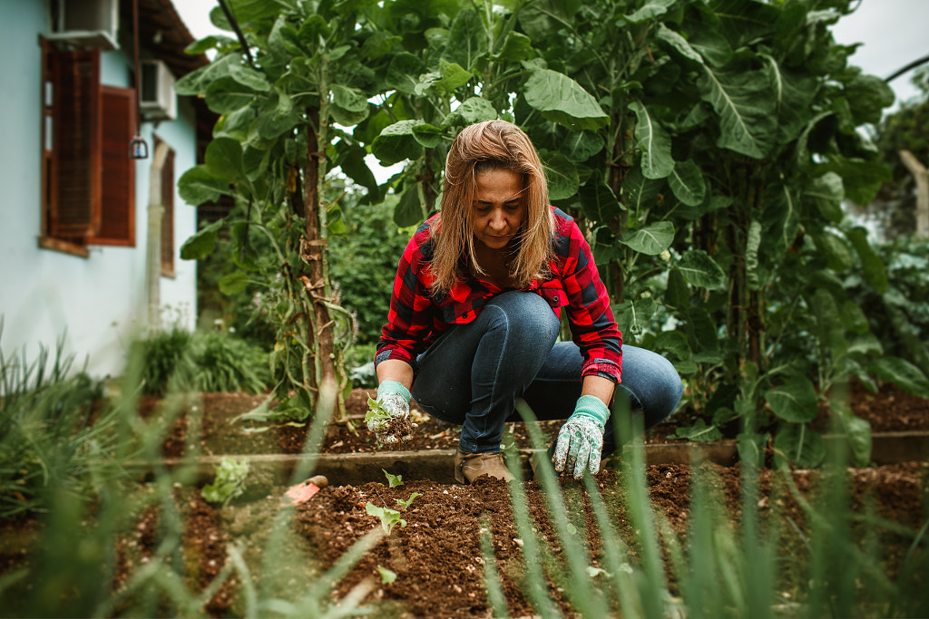 woman harvesting vegetable in her vegetable garden by Helena Lopes on 500px.com