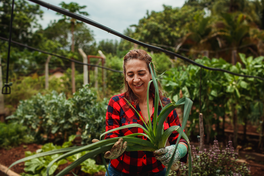 woman harvesting vegetable in her vegetable garden by Helena Lopes on 500px.com