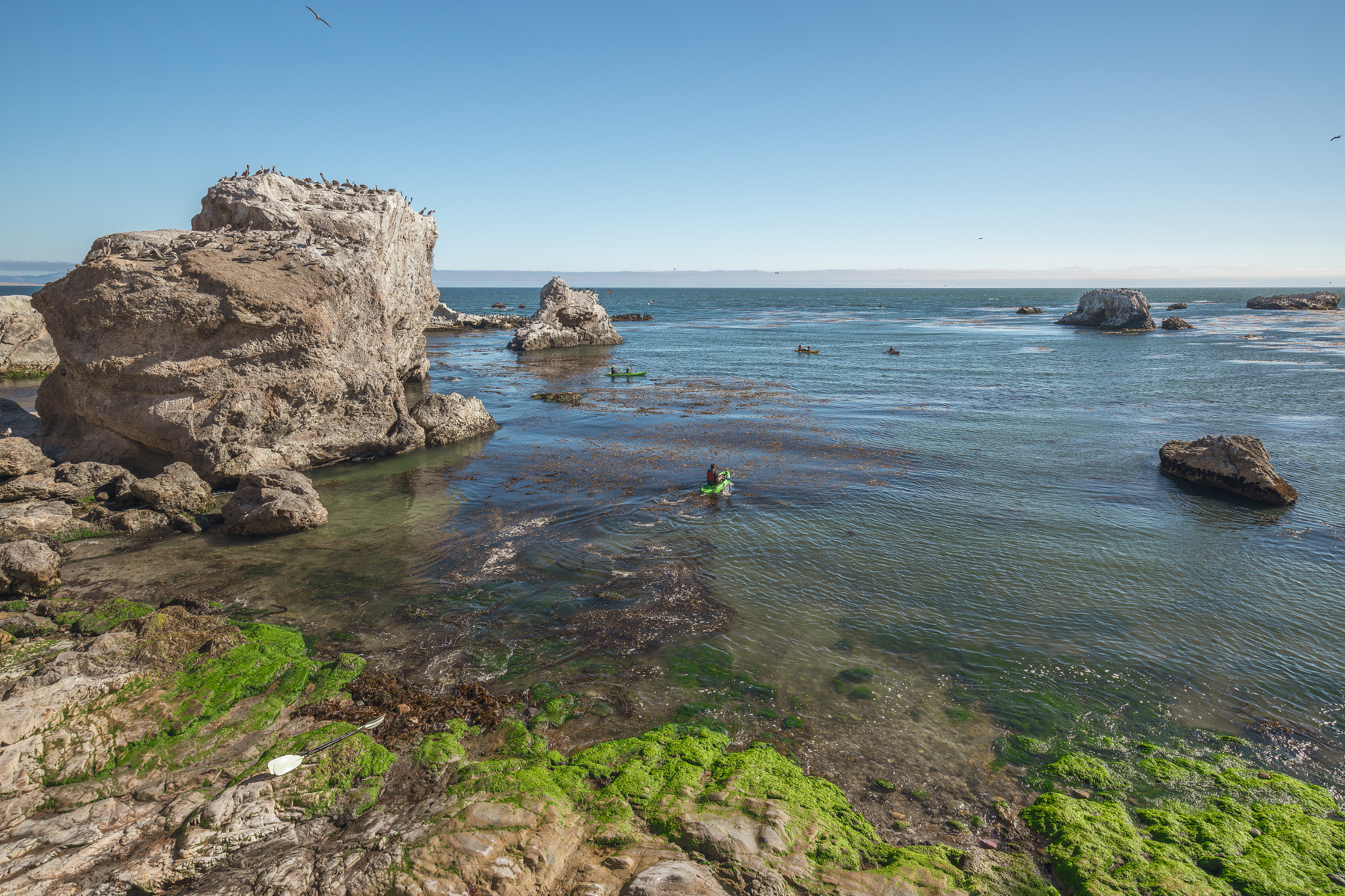 Sea kayaking overlooking Pacific ocean