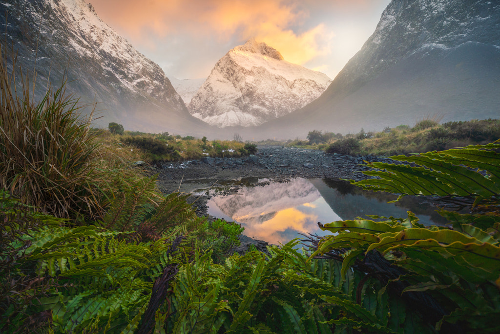 All Consuming  by William Patino on 500px.com