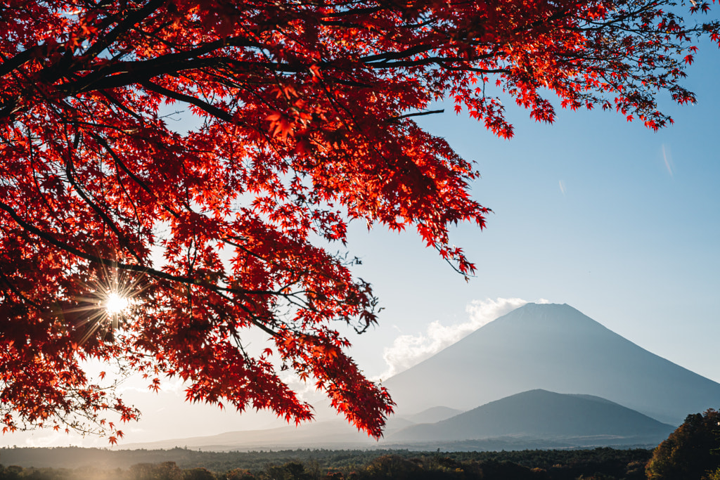 Autumn leaves and Mt. Fuji by Yoshiro Ishii on 500px.com
