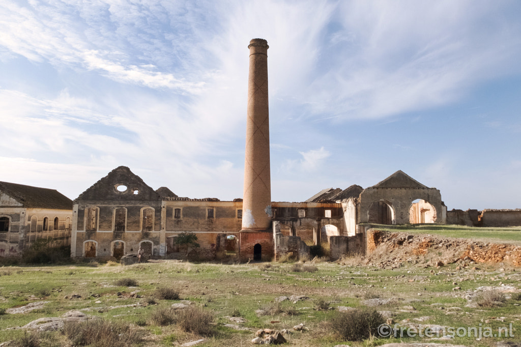 DSCF0733 by www.fretensonja.nl on 500px.com