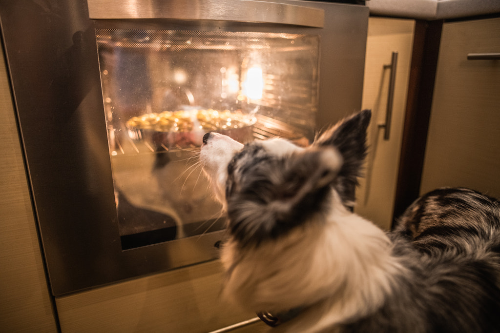 Cuisson du gâteau de Noël par Iza ?yso?  sur 500px.com