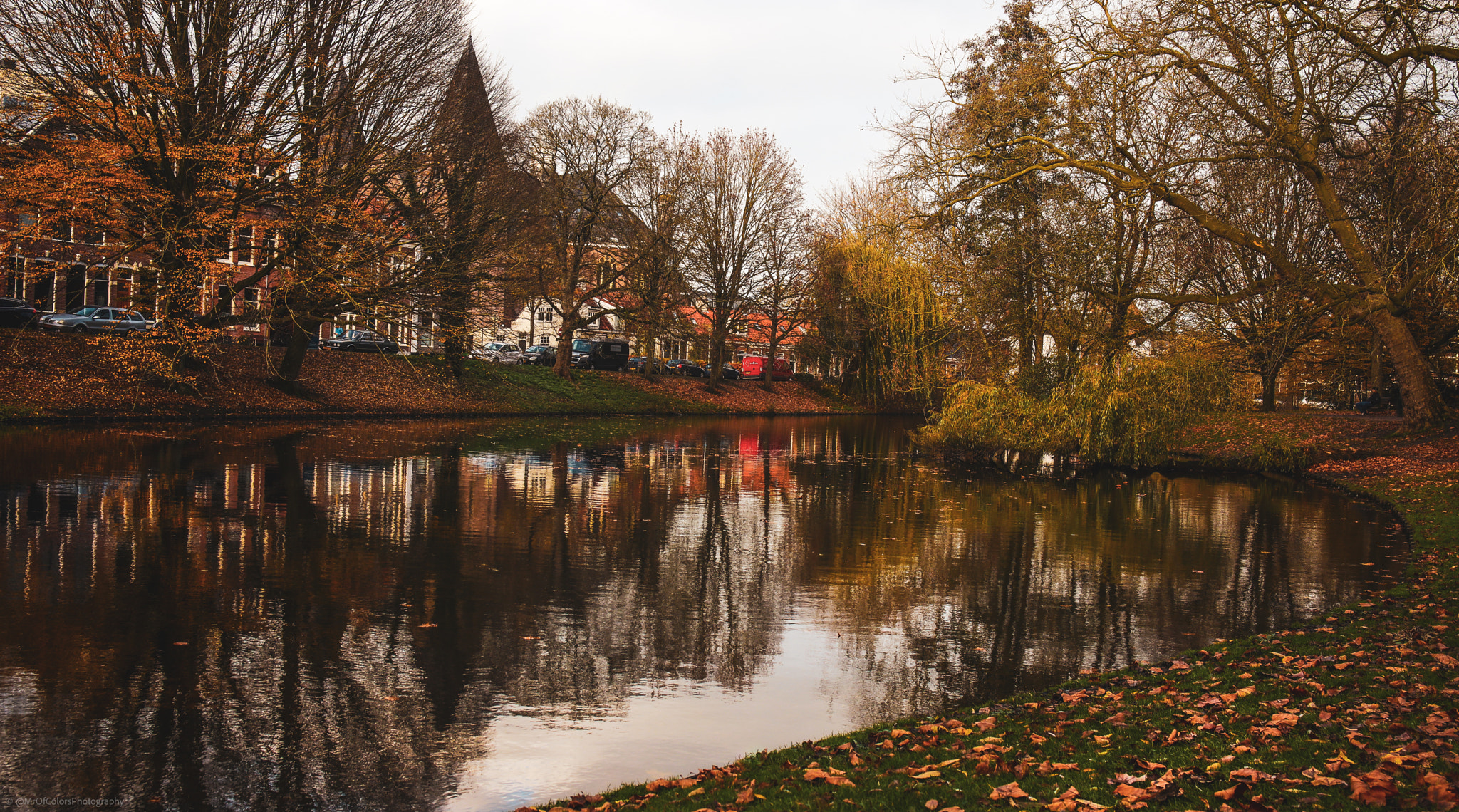 Autumn near the Curve Noorderplantsoen (19-11-2020)  by Dillen