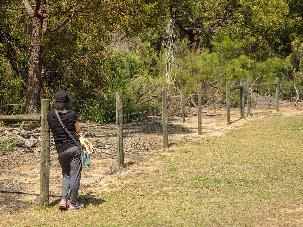 Birding by Paul Amyes on 500px.com