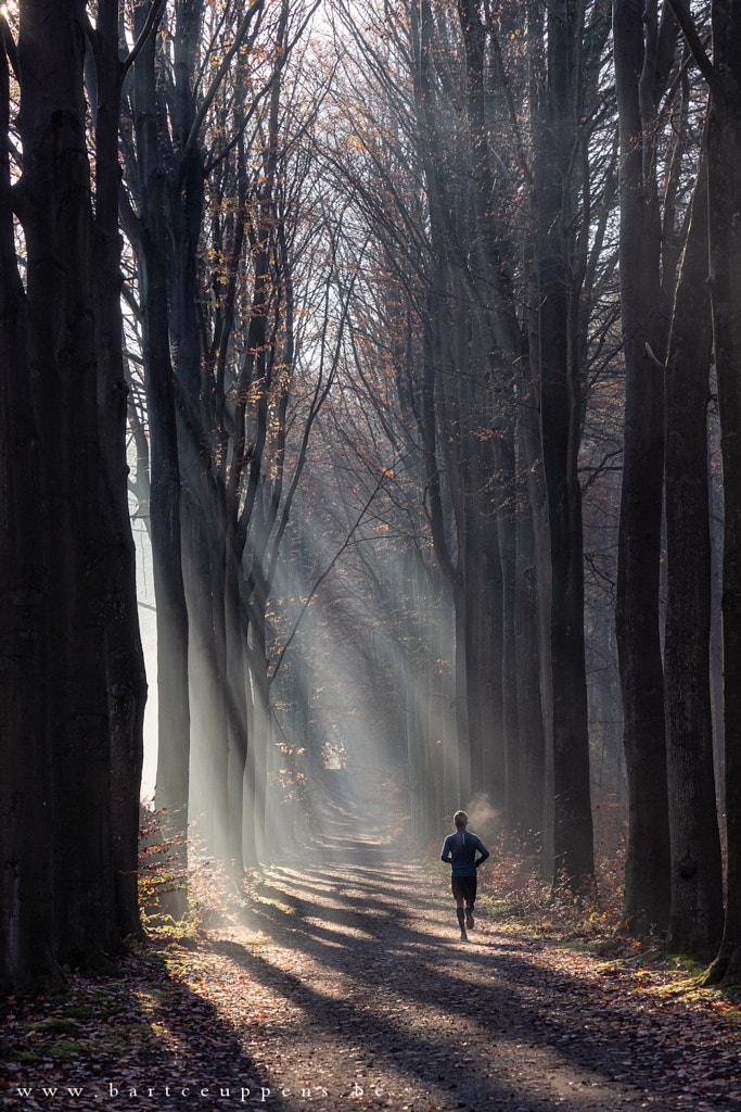 Running in the light  by Bart Ceuppens on 500px.com