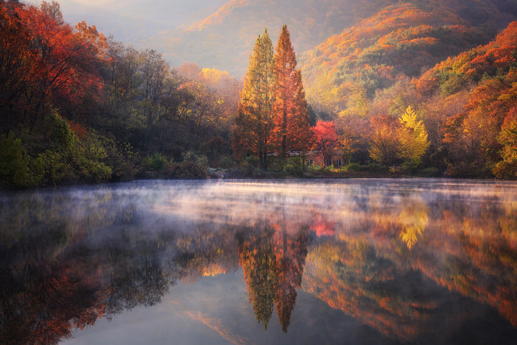 Reflection by Jaewoon U / 500px