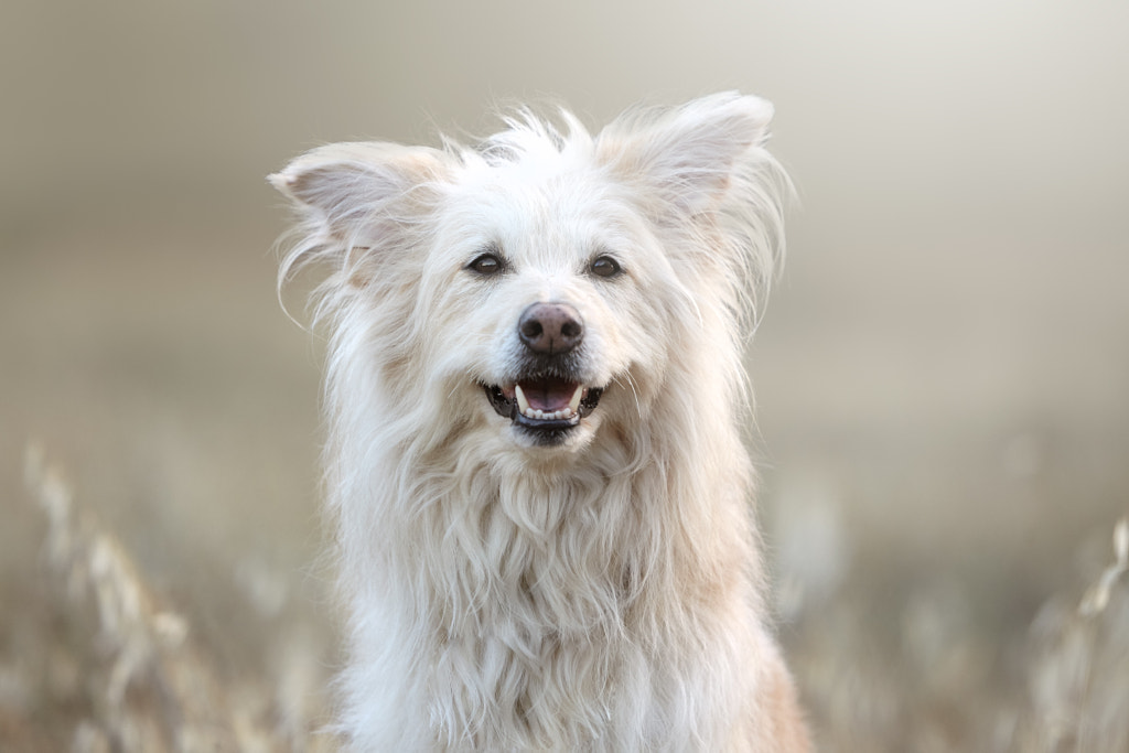 Kira by Alexandre  Marques on 500px.com