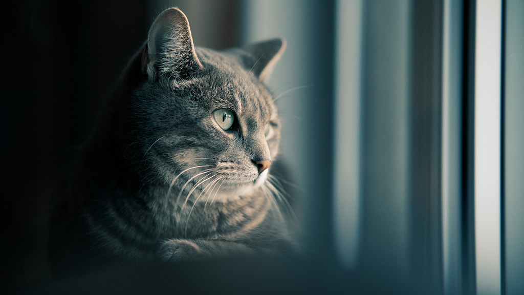 Dreaming of Outside by Dustin Abbott on 500px.com