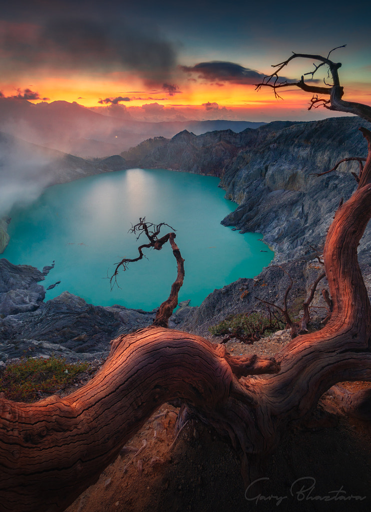 Deadtrees & Sunset by Gary Bhaztara on 500px.com