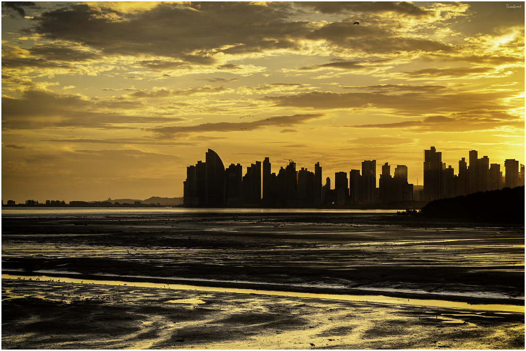 Modellismo Ferroviario Strade Fogli Scenari Strade Rurali Gialle Per Modellini Treni Scala HO - 5 Fogli 8,5x11", Gi&agrave; Colorati Strade Senza Passaggio HO