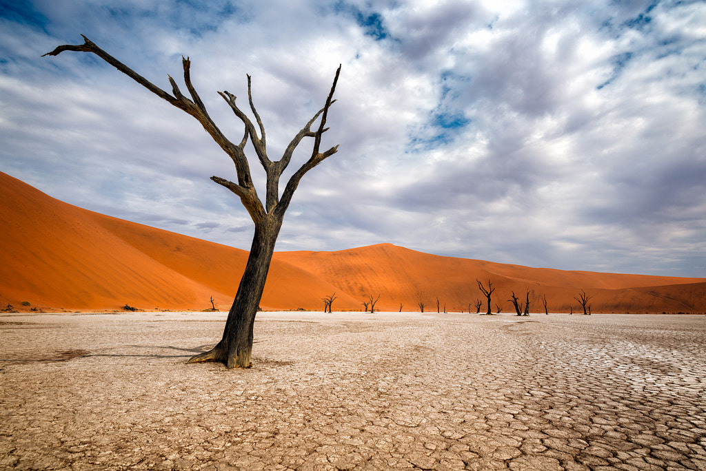Dead trees in Dead Vlei Naukluft Park, Namibia by Urs Zihlmann on 500px.com