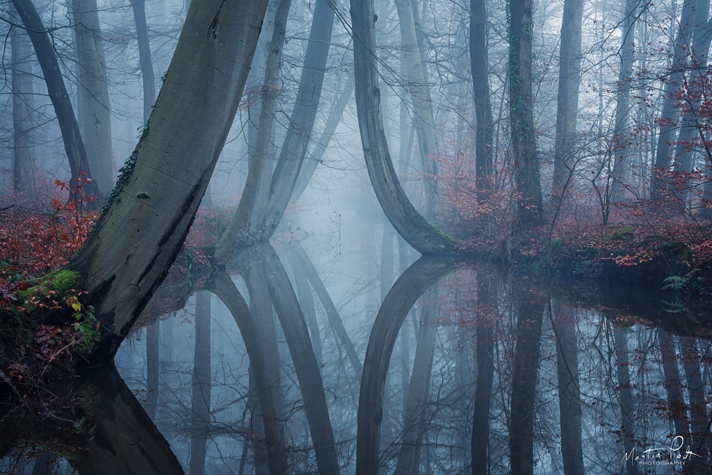 The bent ones - December 2020 version by Martin Podt on 500px.com