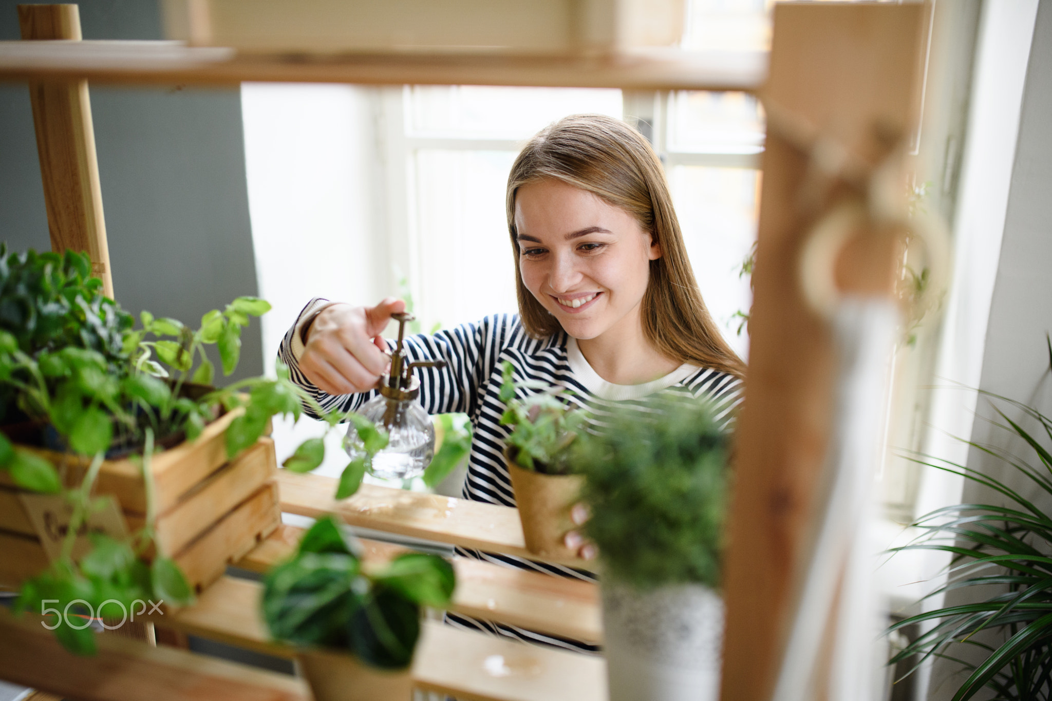 Woman spraying plants with water working at home, plant care concept.