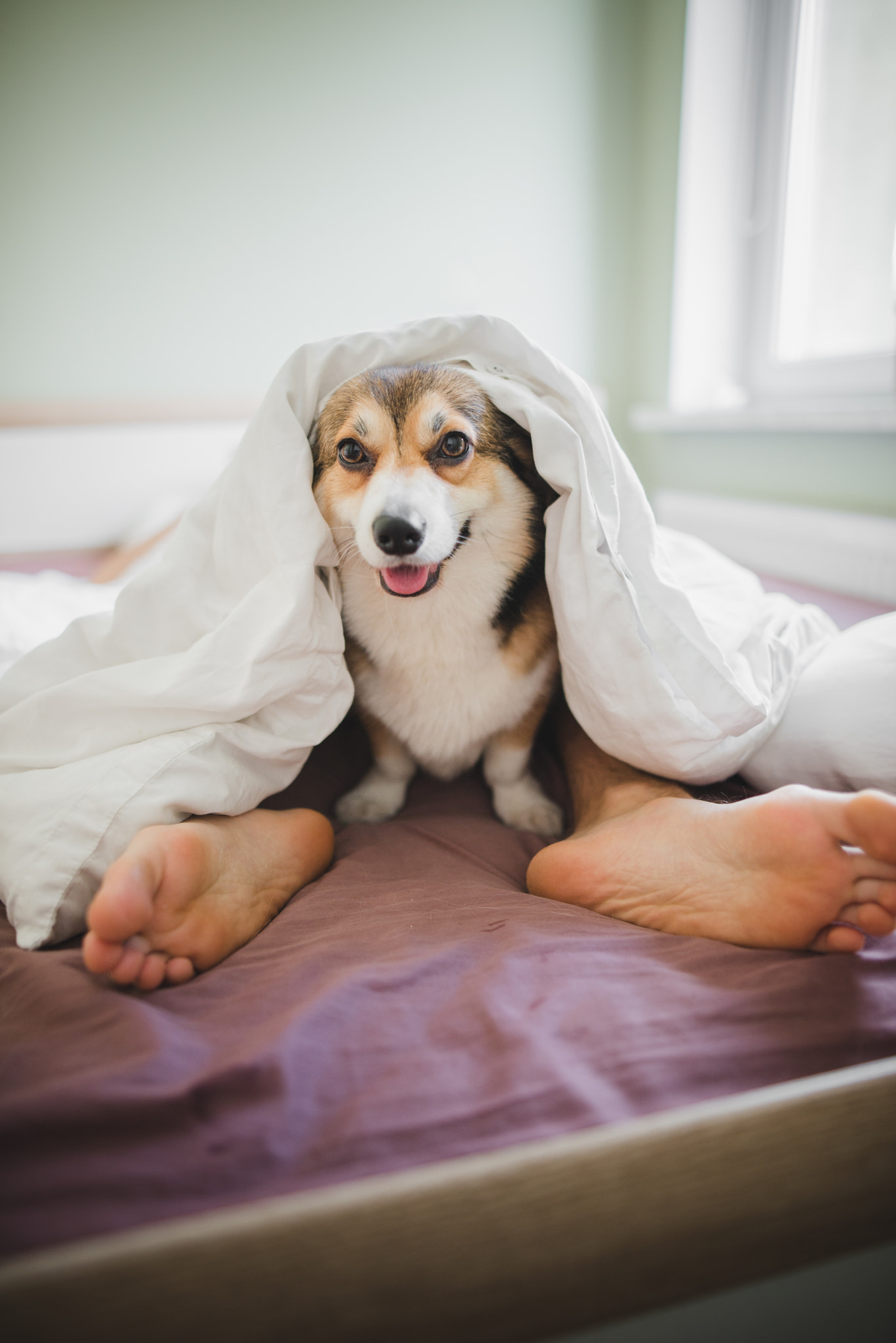 v2?sig=76b3b5f46ffd9b74211dd7d65d64b115023af0cb219fefead0e158c8a992863c