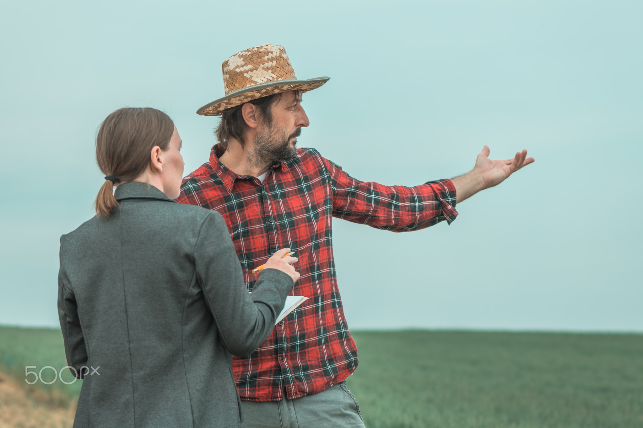 Banker and farmer negotiating bank agriculture loan in wheat field