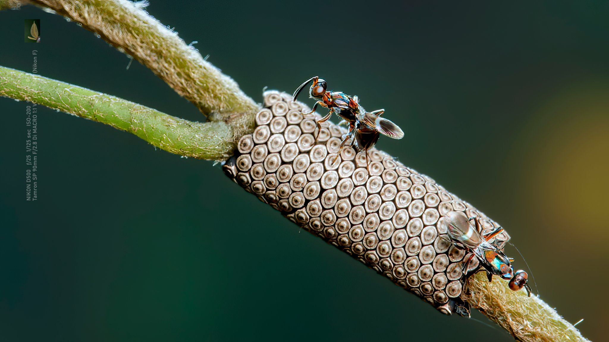 心禅 Vcg Page Profile 500px