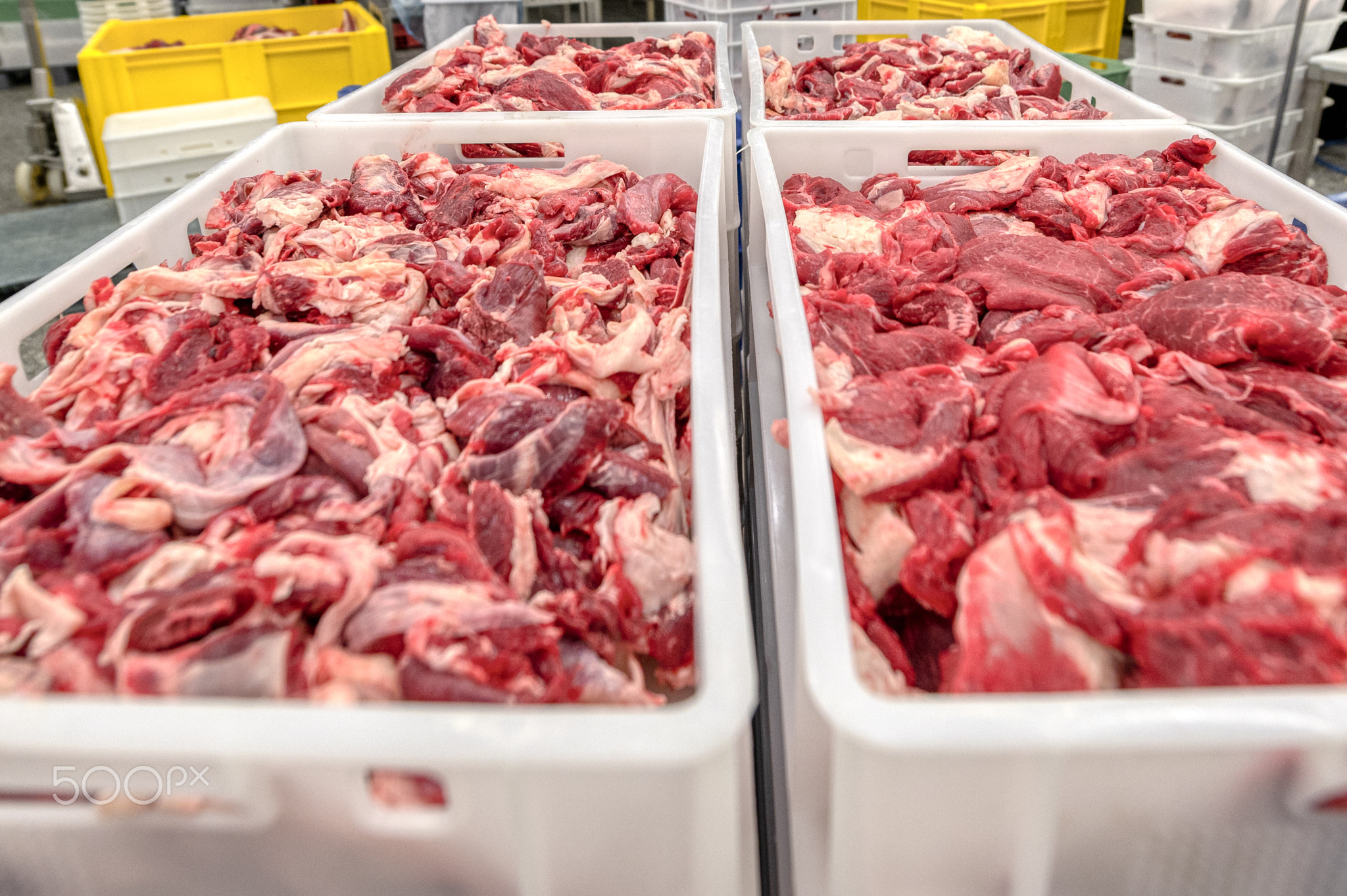 Fresh beef. Meat cut into large pieces