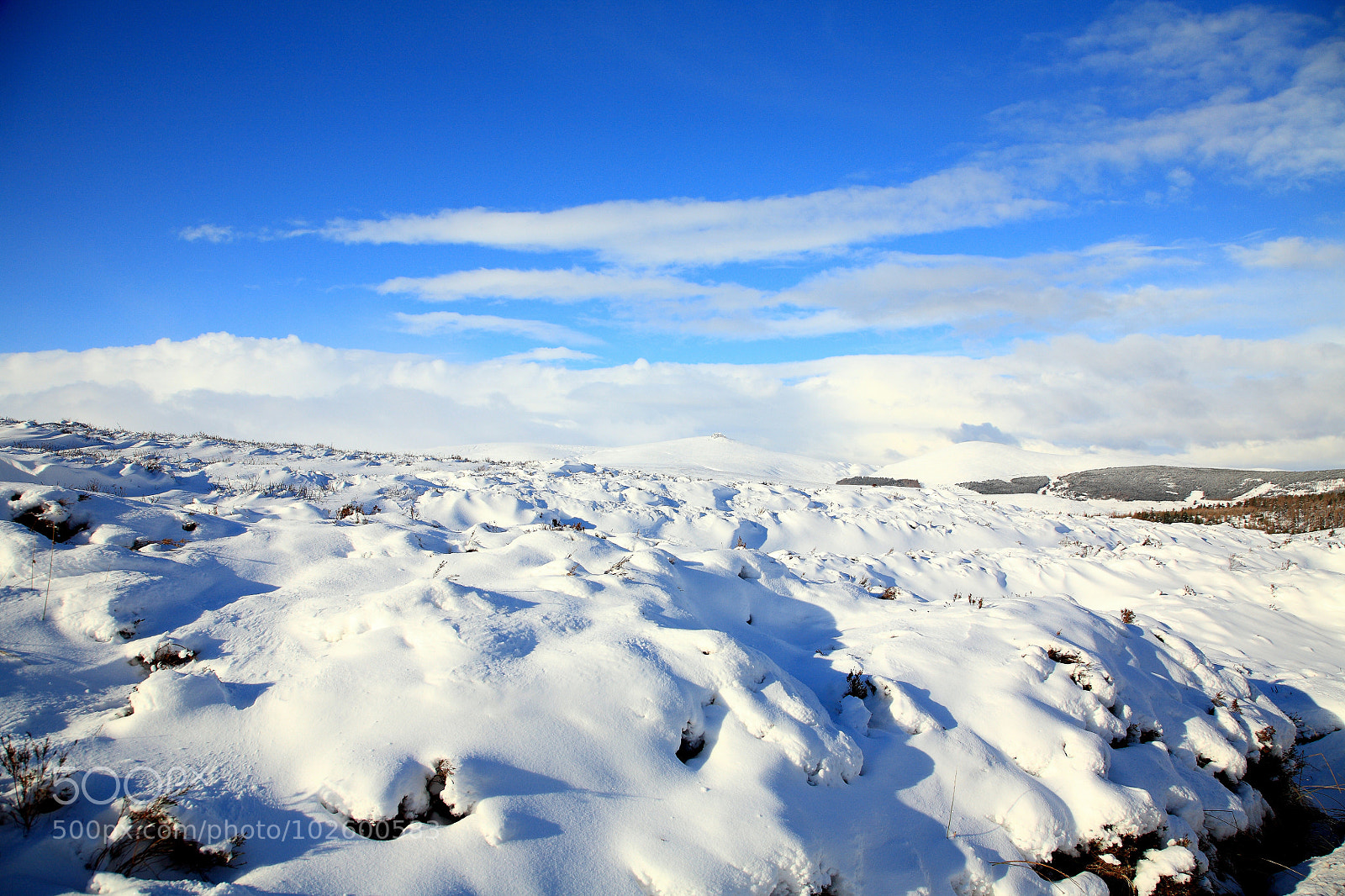 Canon EOS 5D sample photo. Untitled photography