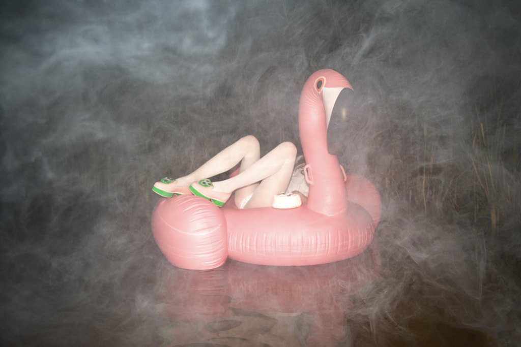 Foggy Flamingo Fairy by Linas Vaitonis on 500px.com