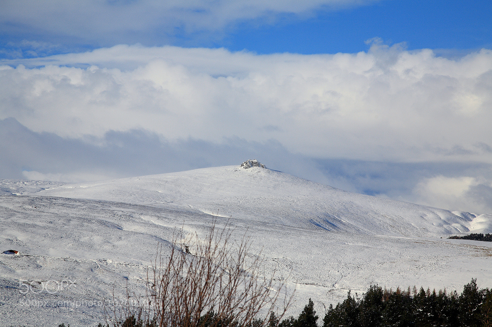 Canon EOS 5D sample photo. Untitled photography