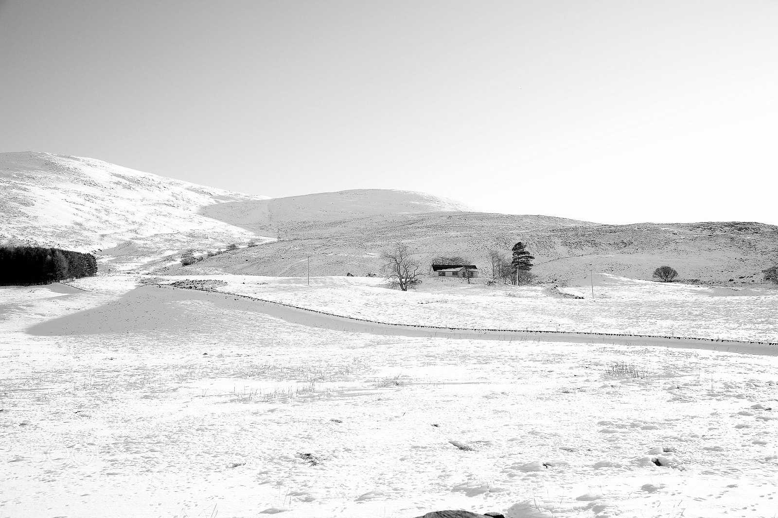 Canon EOS 5D sample photo. Untitled photography