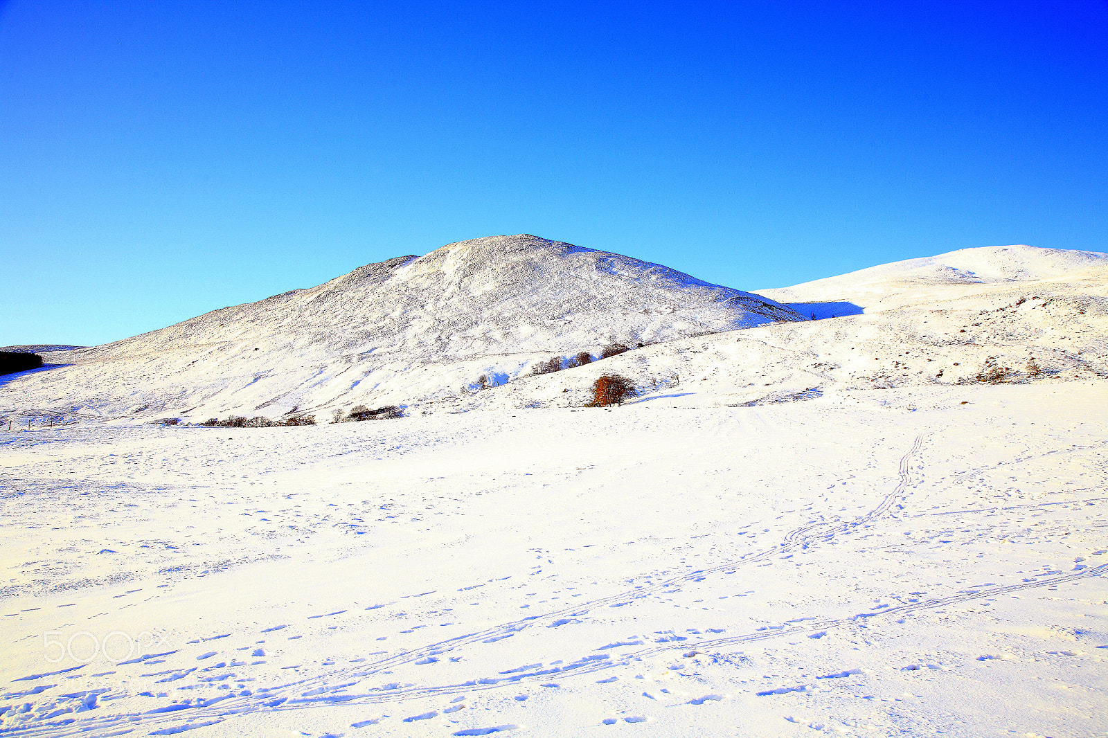 Canon EOS 5D sample photo. Untitled photography