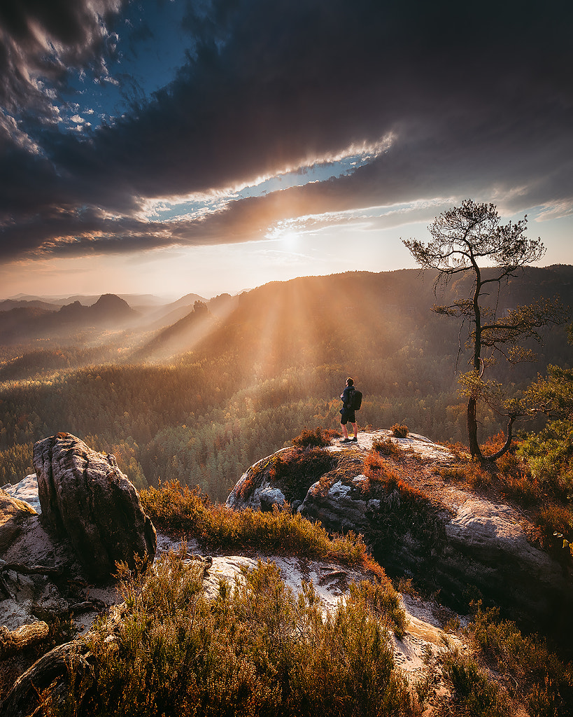 Golden morning. by Tomas Havel on 500px.com