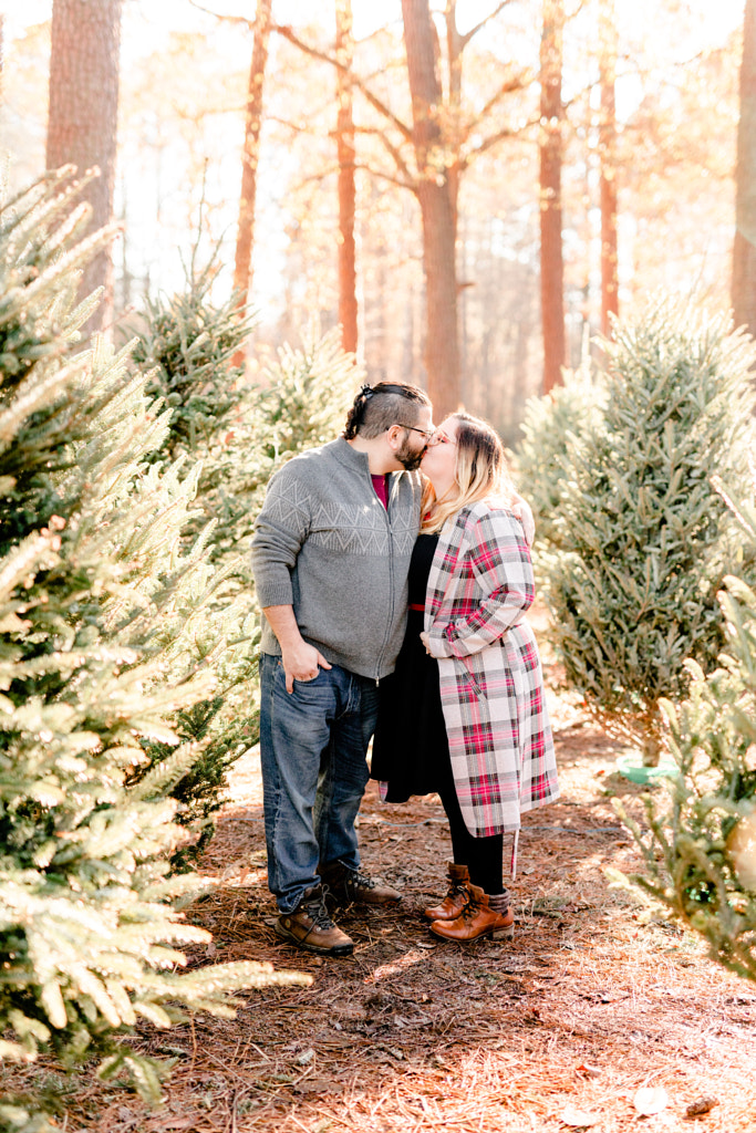 Christmas tree farm engagement