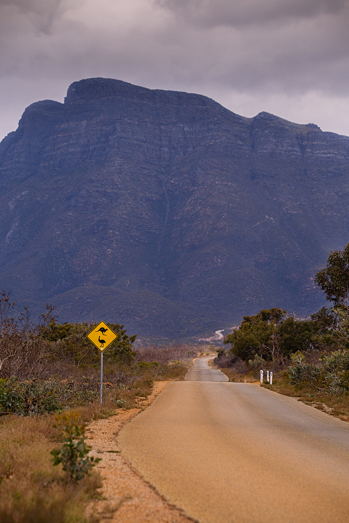 Bluff Knoll by Paul Amyes on 500px.com