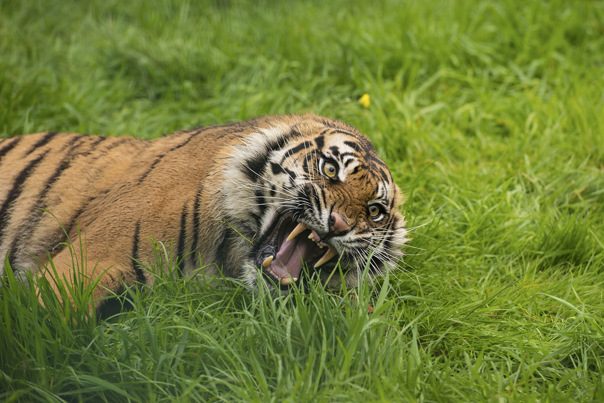 v2?sig=c4abdeab414df13d715824887b04edfe7040d7456428b04422b7866b5c333ab1