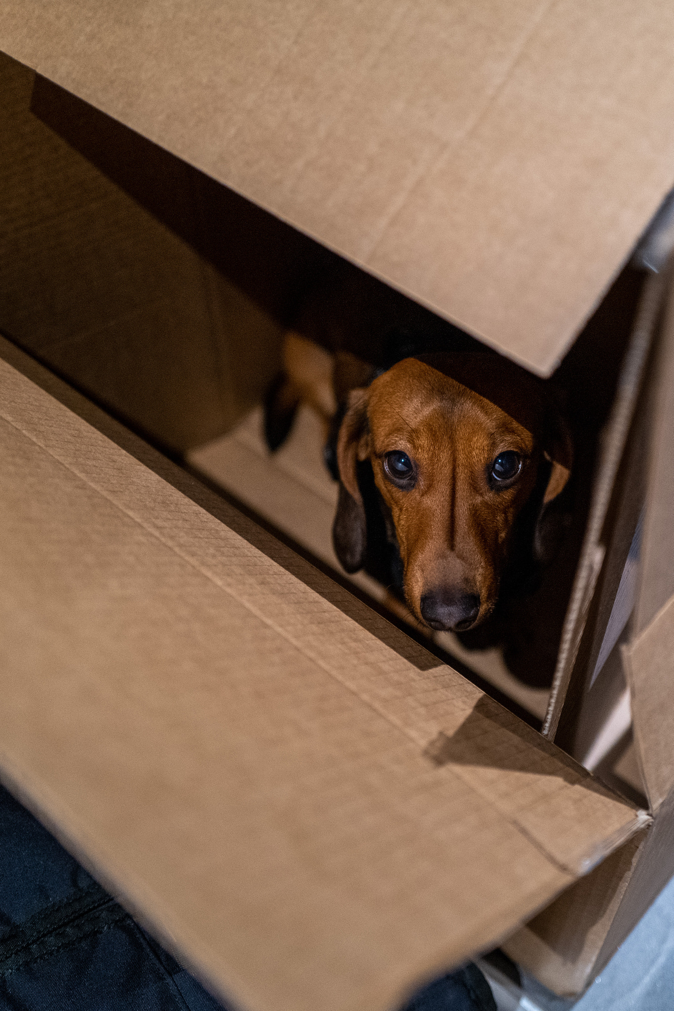 Trapped in a box